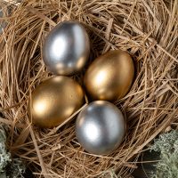 NestEggs2 NestEggs2