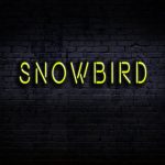 Snowbird Snowbird