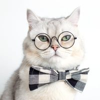 Cat_Glasses Cat_Glasses