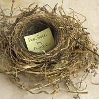 EmptyNest EmptyNest