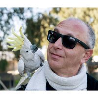 Cockatoo_Pet Cockatoo_Pet